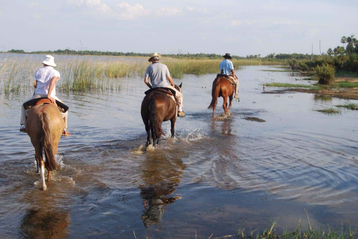 Cabalgatas